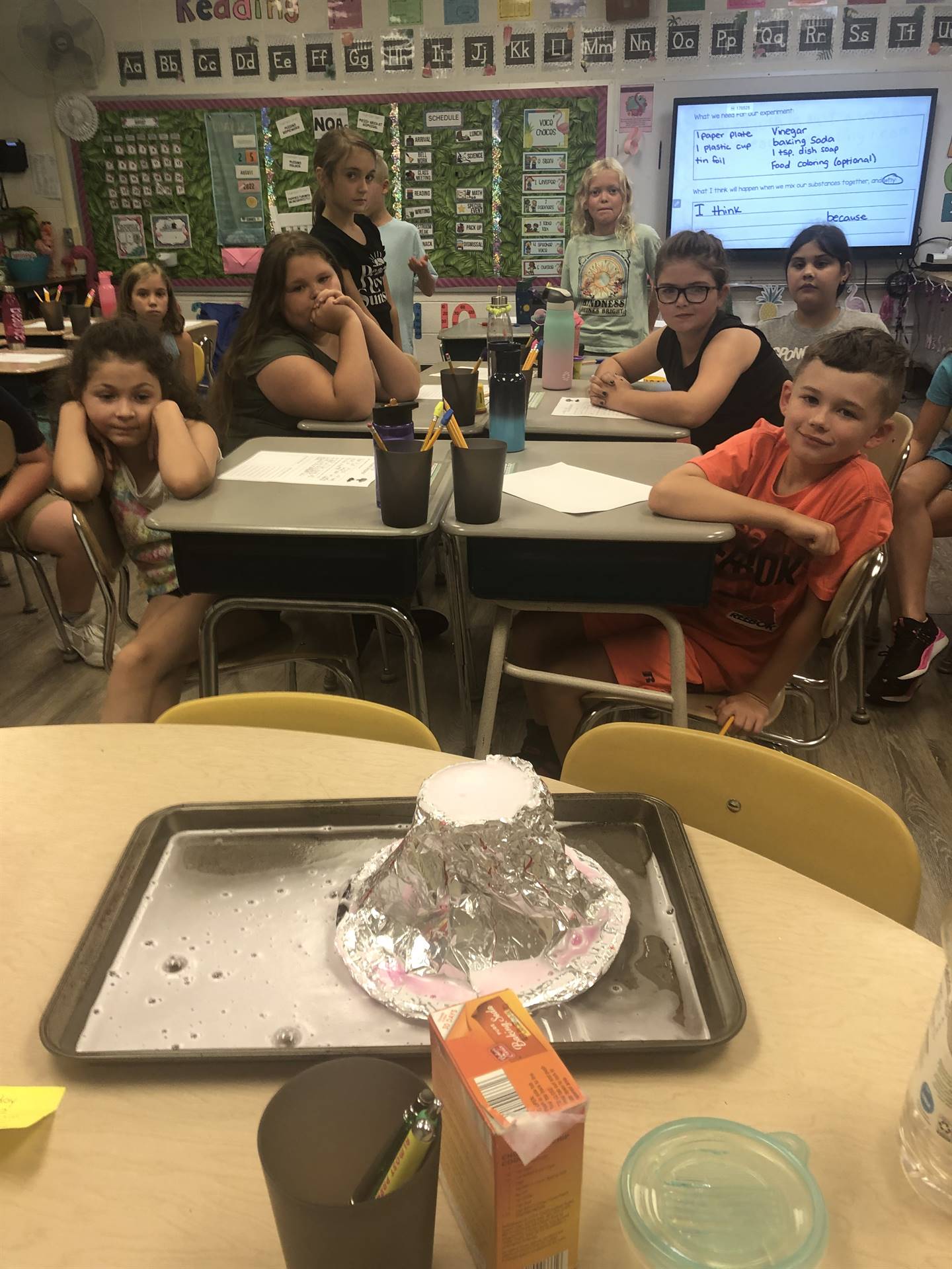 Mrs. Scheid&#39;s Class